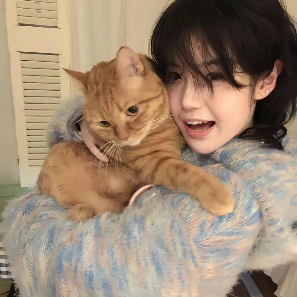 出发吧!短剧内蒙古篇